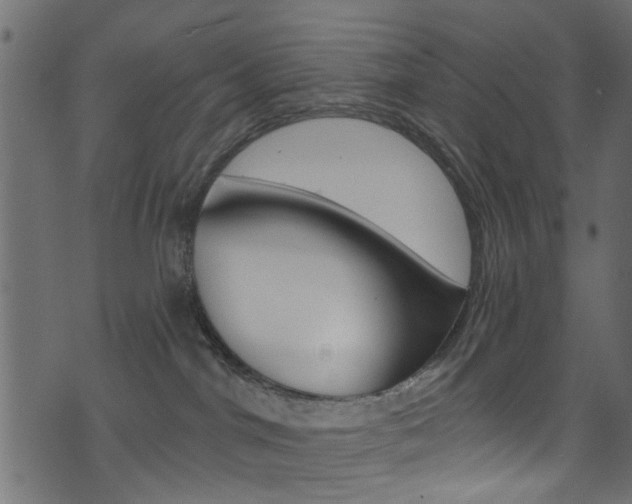 X0000074340044200608251056