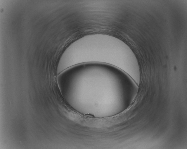 X0000074340045200608251056