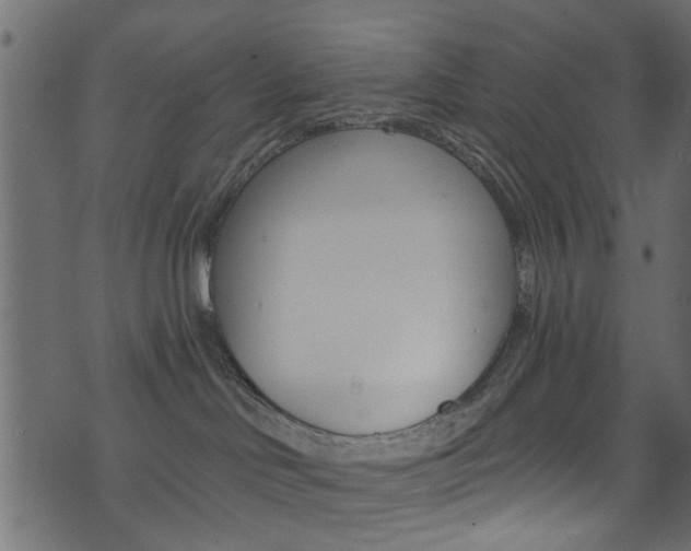 X0000074340046200608251056