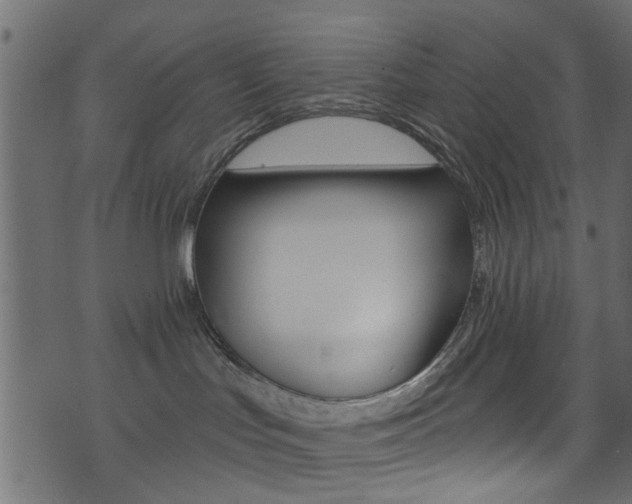 X0000074340047200608251056