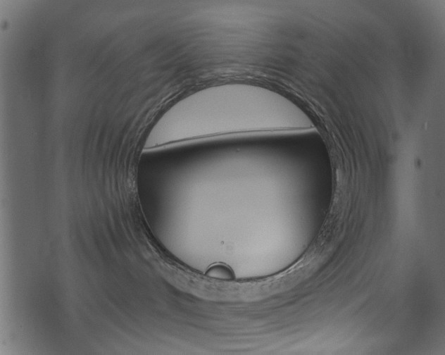 X0000074340048200608251056