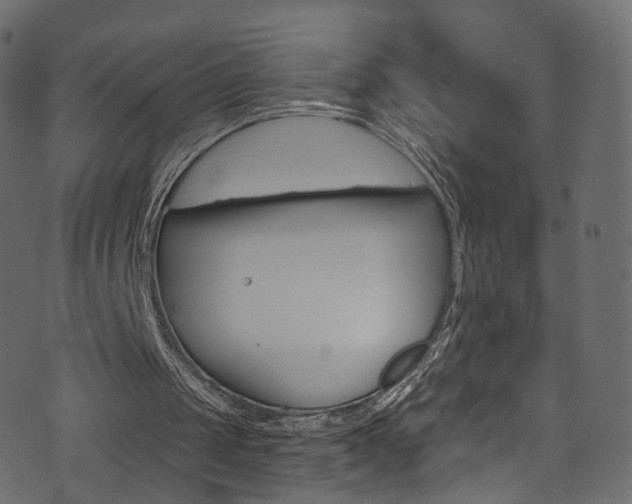 X0000074340049200608251055