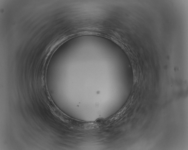 X0000074340050200608251055