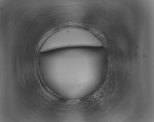 X0000074340051200608251055