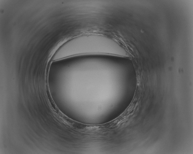 X0000074340052200608251055