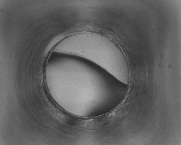 X0000074340054200608251056