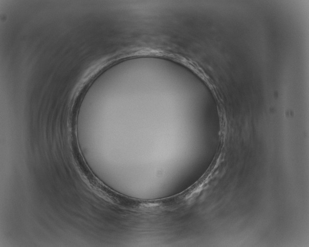 X0000074340055200608251056