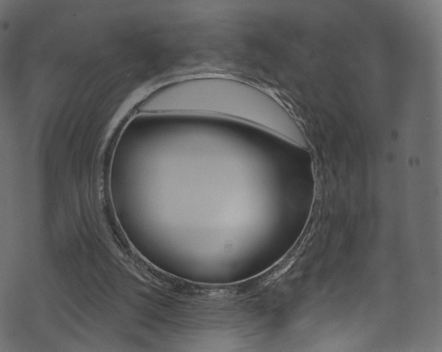 X0000074340056200608251056