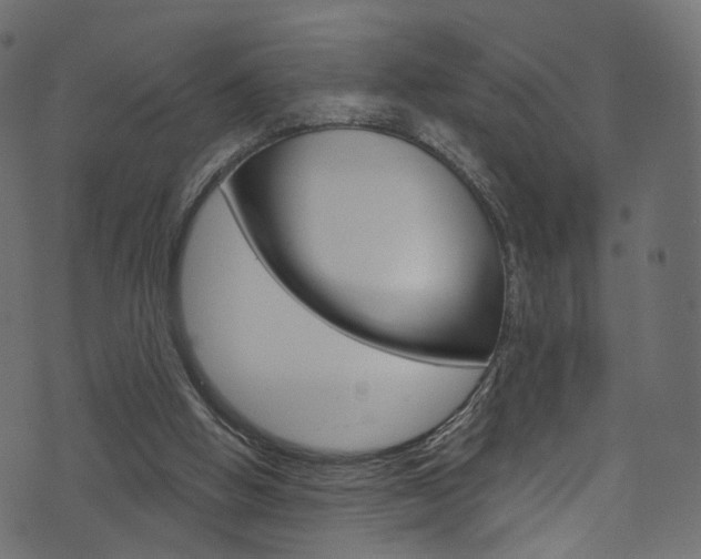 X0000074340058200608251056