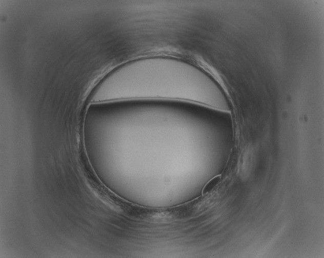 X0000074340059200608251056