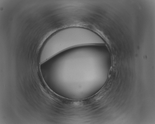 X0000074340060200608251056