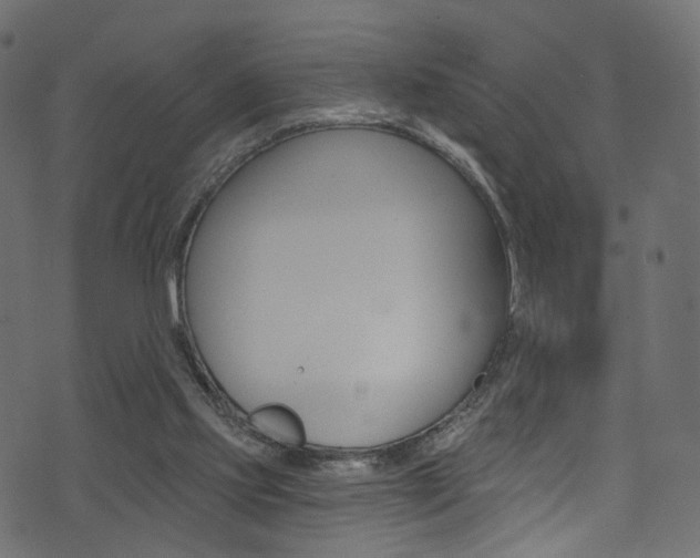 X0000074340061200608251056