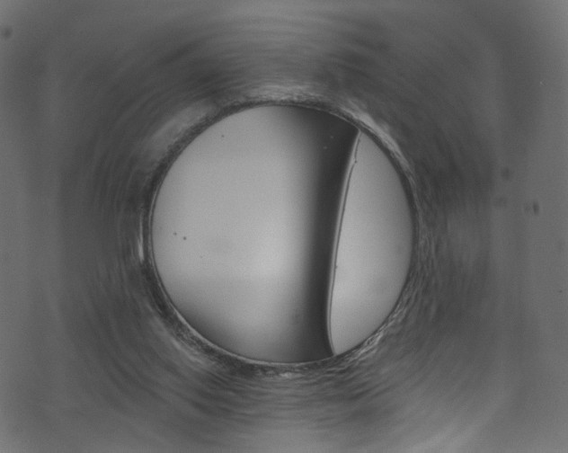 X0000074340062200608251056