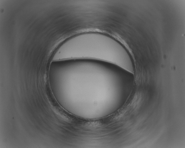 X0000074340063200608251056