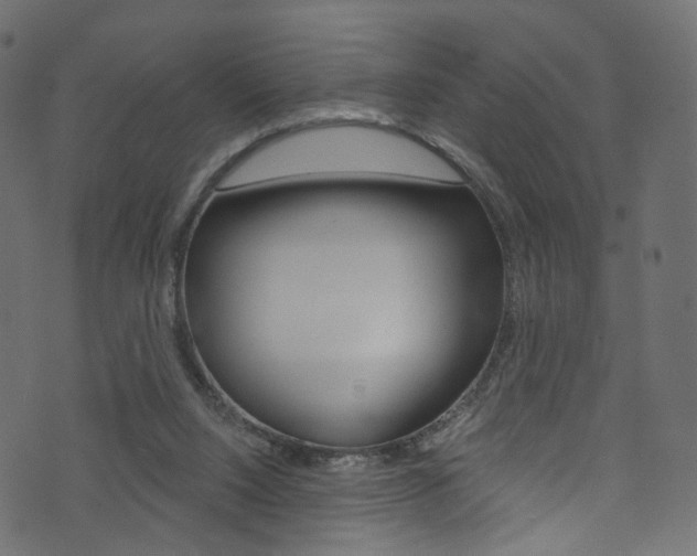 X0000074340064200608251056