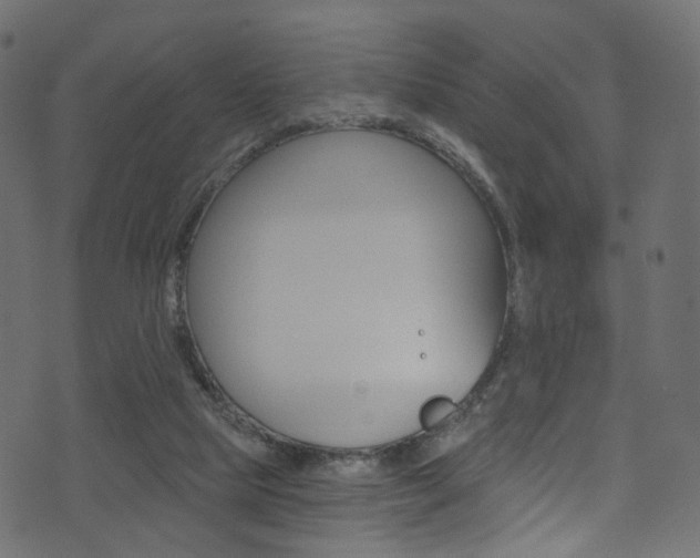 X0000074340065200608251056