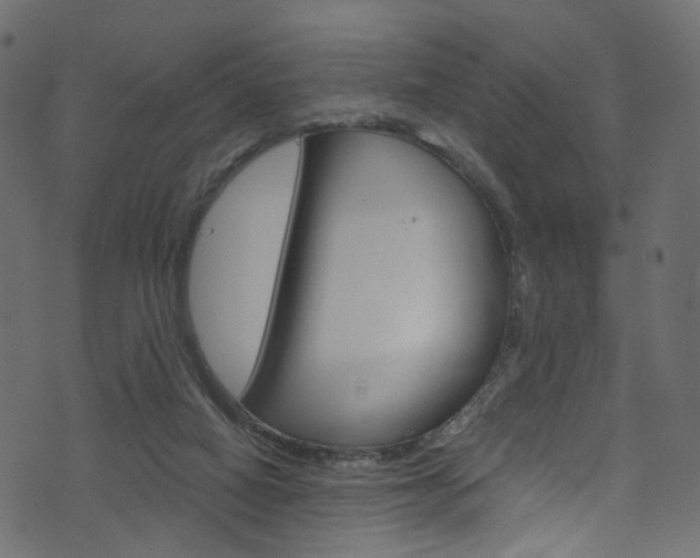 X0000074340066200608251056