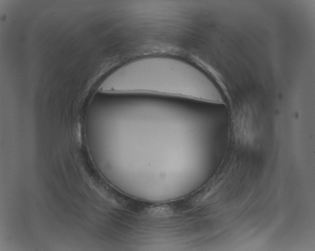 X0000074340067200608251056