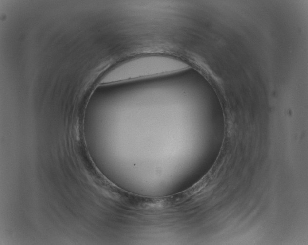 X0000074340068200608251056