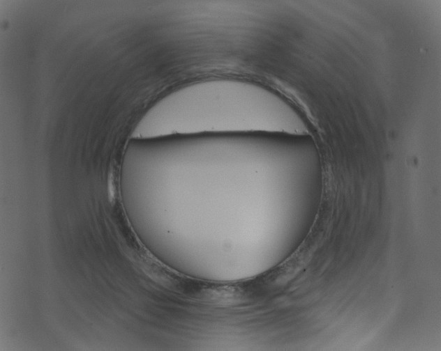 X0000074340069200608251056