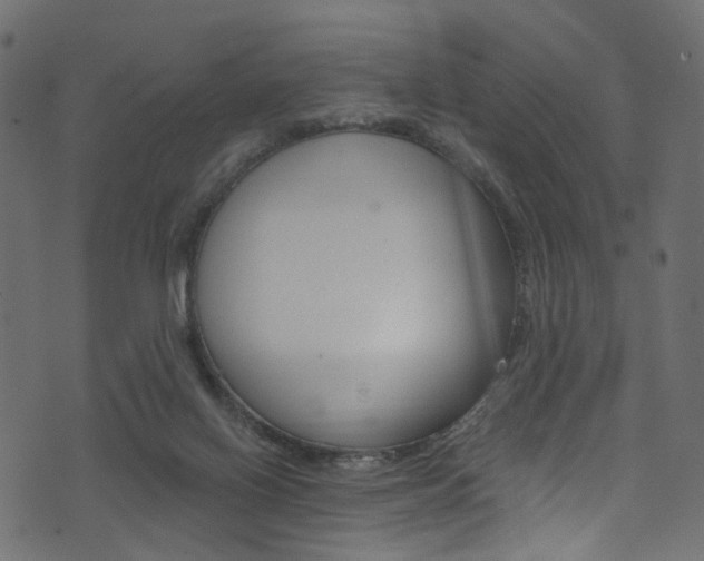 X0000074340070200608251056