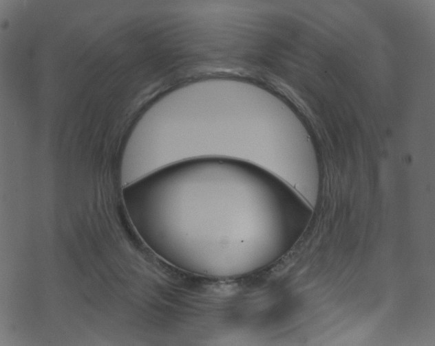 X0000074340071200608251056