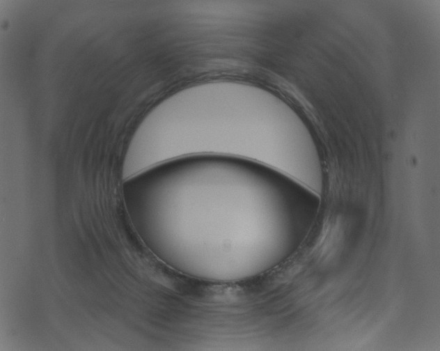 X0000074340073200608251056