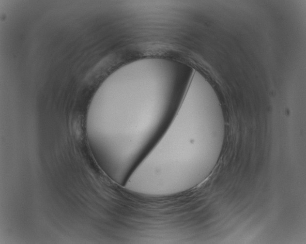 X0000074340074200608251056