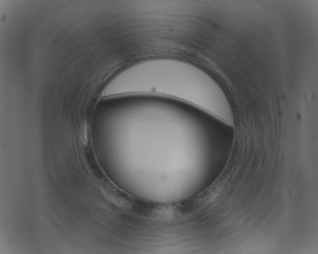 X0000074340076200608251056