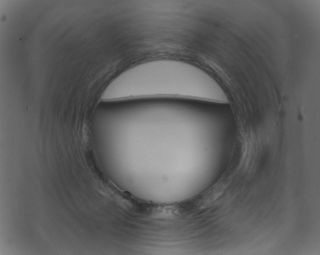 X0000074340077200608251056