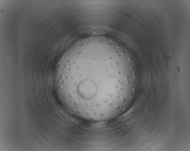 X0000074340078200608251056