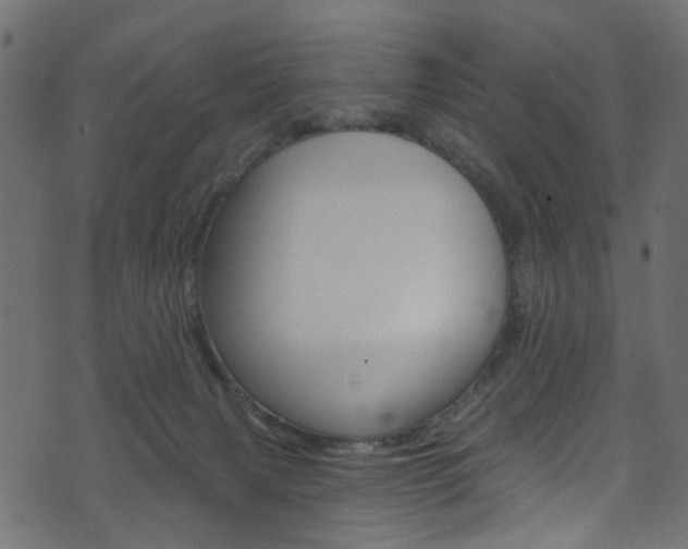 X0000074340079200608251056