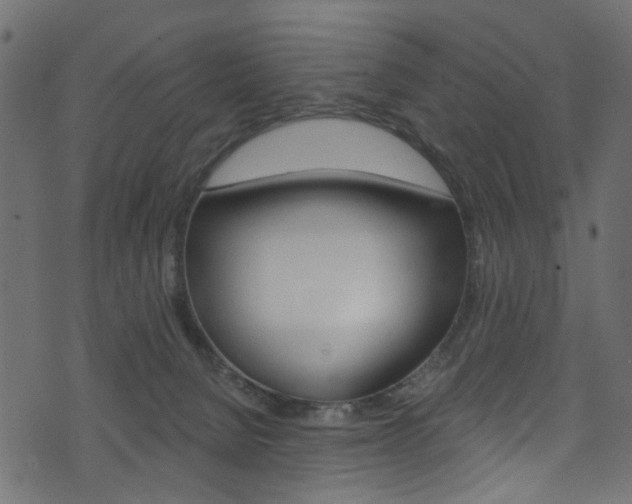 X0000074340080200608251056