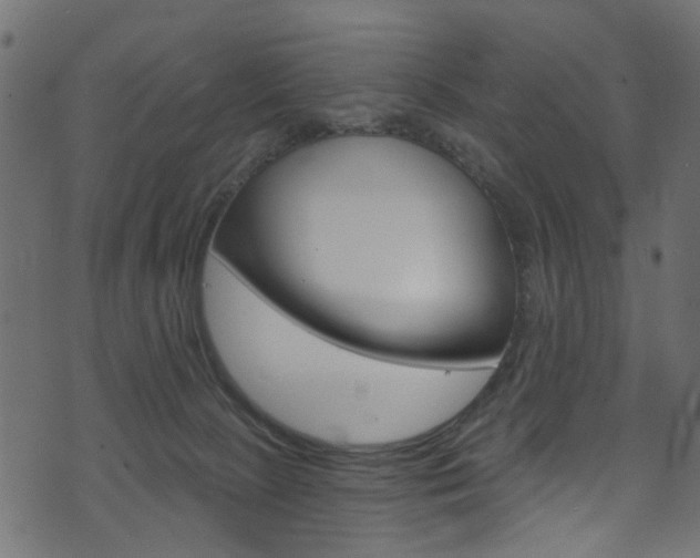 X0000074340081200608251056