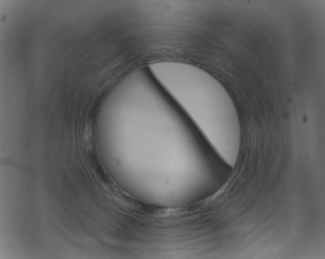 X0000074340082200608251056