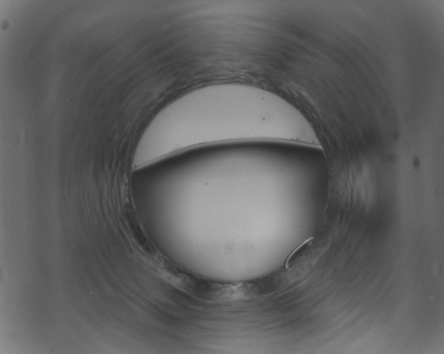 X0000074340083200608251056