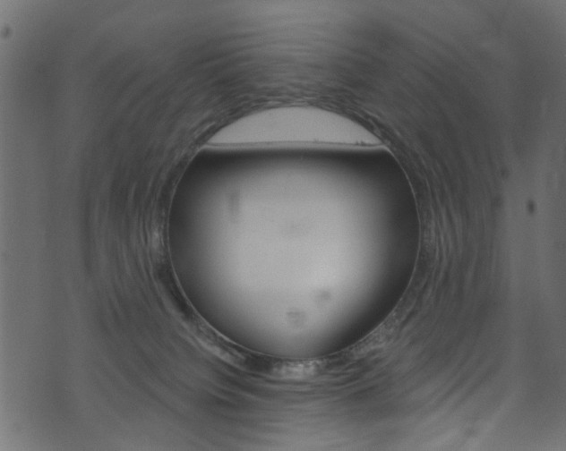 X0000074340084200608251056