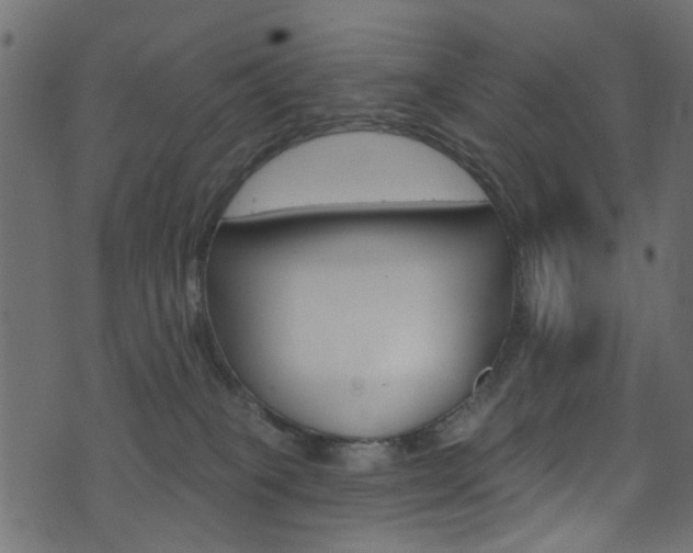 X0000074340085200608251056