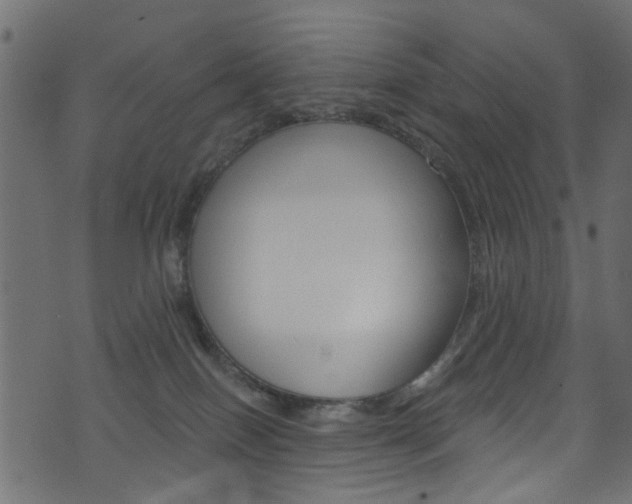 X0000074340086200608251056