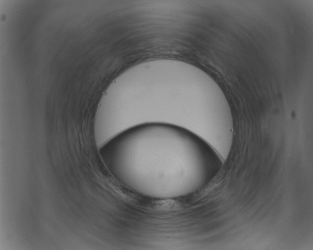 X0000074340087200608251056