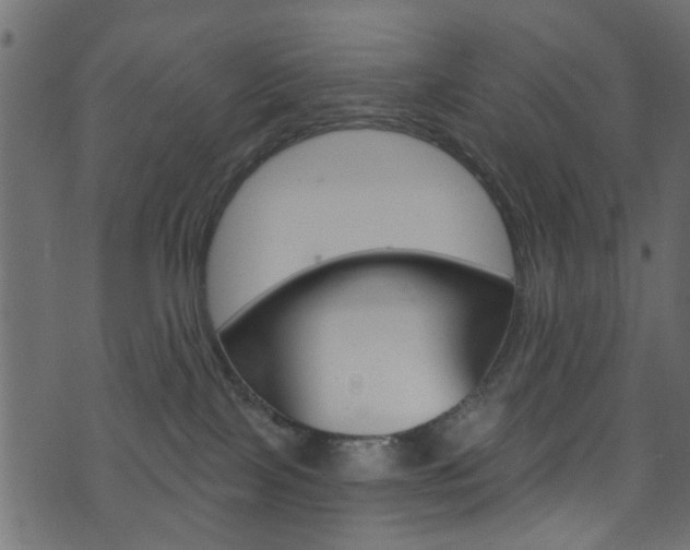 X0000074340089200608251056