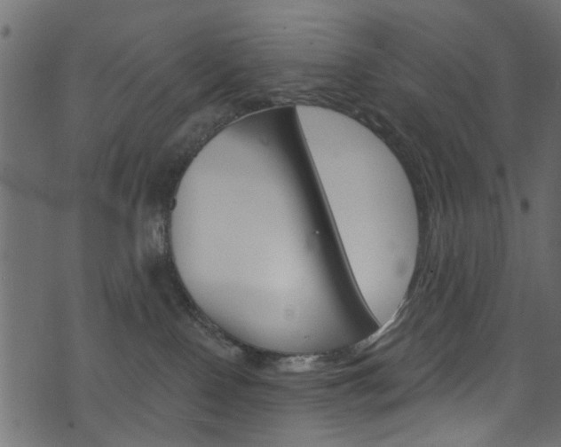 X0000074340090200608251056