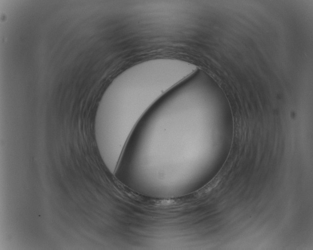 X0000074340091200608251056