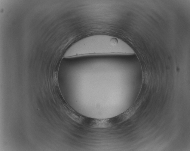 X0000074340093200608251056