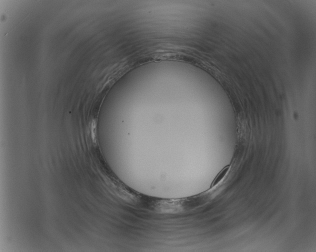 X0000074340094200608251056