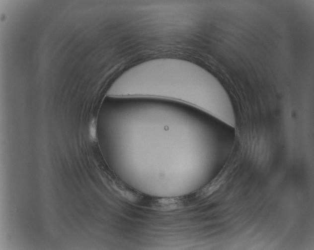 X0000074340095200608251056