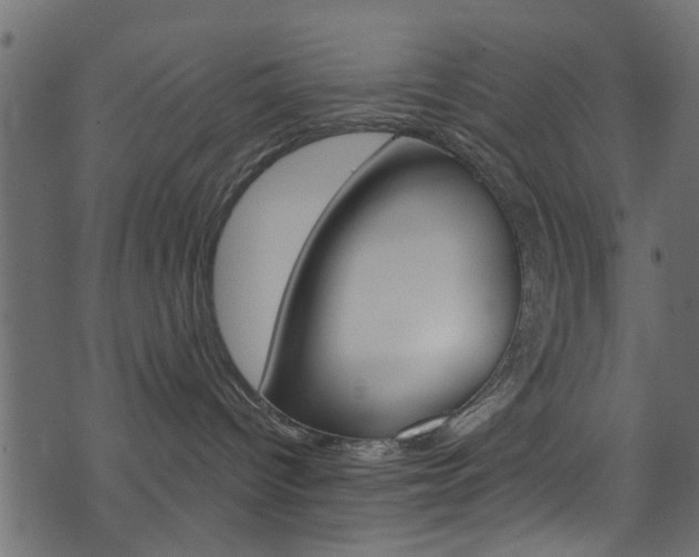 X0000074340096200608251056