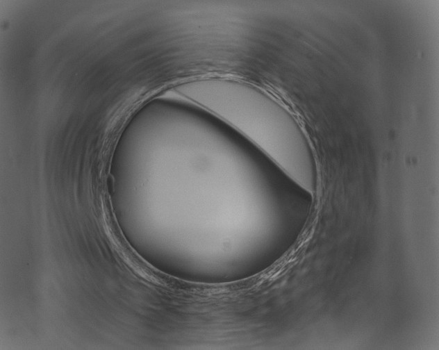 X0000074340097200608251055