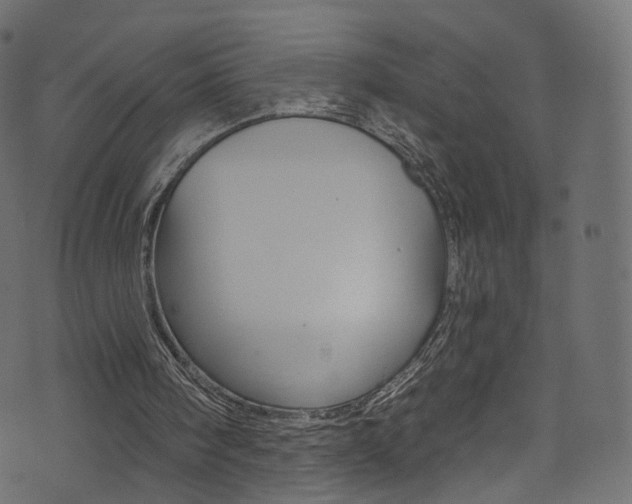 X0000074340098200608251055