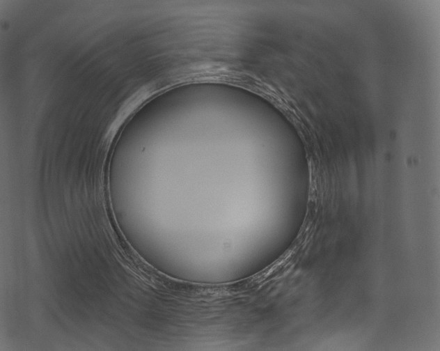 X0000074340099200608251055